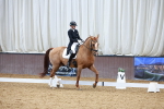 SBM_004014