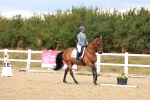 SBM_011931