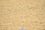 230720A-135638-03245