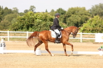SBM_002028