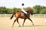 SBM_002791