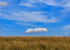 Dorset-5