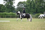 WJ6_6634