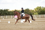 SBM_009449