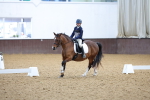 SBM_000800