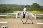 SBM_008983