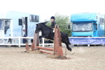 SBM_13400