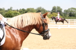 SBM_004328