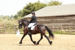 SBM_003623