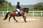 SBM_008964
