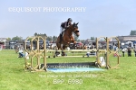 BPP_6980