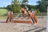 BPP_3849