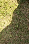 SBM_05478