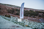 Sale Fell-1