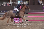 BPP_1582