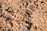 260423-181741-08044