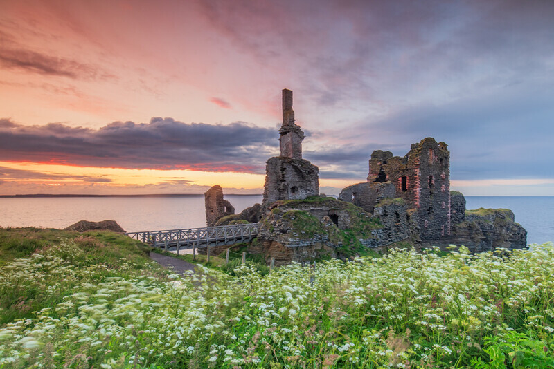 Summer Colour, Castle Sinclair Girnigoe, Scotland
