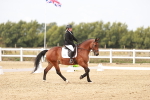 SBM_000990