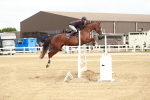 SBM_006620