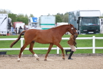 SBM_05025