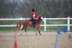 SBM_003828
