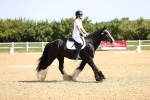 SBM_007826