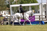 SBM_15027
