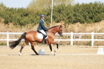 SBM_017297