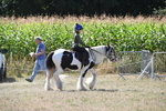 WJ6_8954