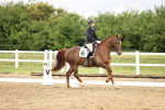 SBM_005185