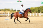 SBM_007041