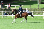 SBM_47144