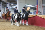 SBM_14878