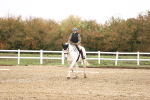 SBM_001828