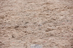240121A-111426-01258
