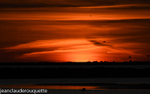 Goélands au coucher de soleil sur l'étang de grande palun