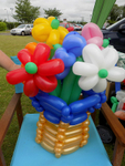 Balloon flowers