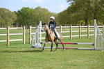 Show Jumping 40cm & 60cm portfolio