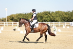 SBM_017360