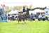 BPP_1317