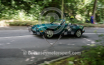 Heritage Charity Hillclimb_2014-216