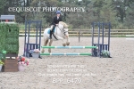 BPP_6479