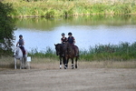 WJ6_8913