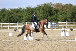 SBM_015983