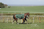 Old Berkshire Point-to-Point Lockinge 10/04/23 portfolio