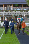 111024-Race 3-Minstrel Knight-1687