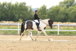 SBM_001042