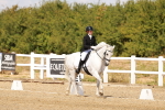 SBM_018537