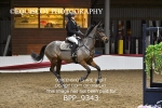 BPP_9343