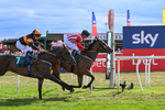 Race 6 16.42pm Racing Again 4th August Handicap portfolio